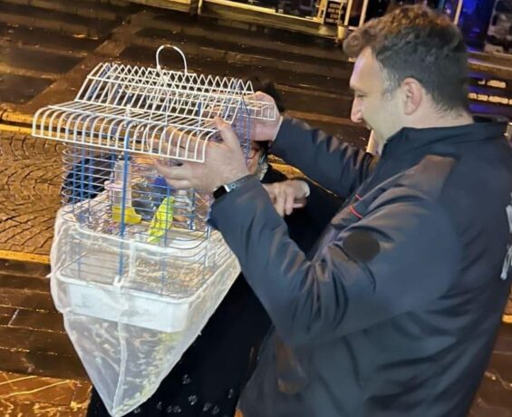 Düzce’de itfaiye mahsur kalan muhabbet kuşunu kurtardı