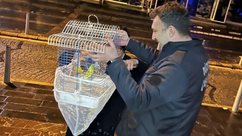 Düzce’de itfaiye mahsur kalan muhabbet kuşunu kurtardı