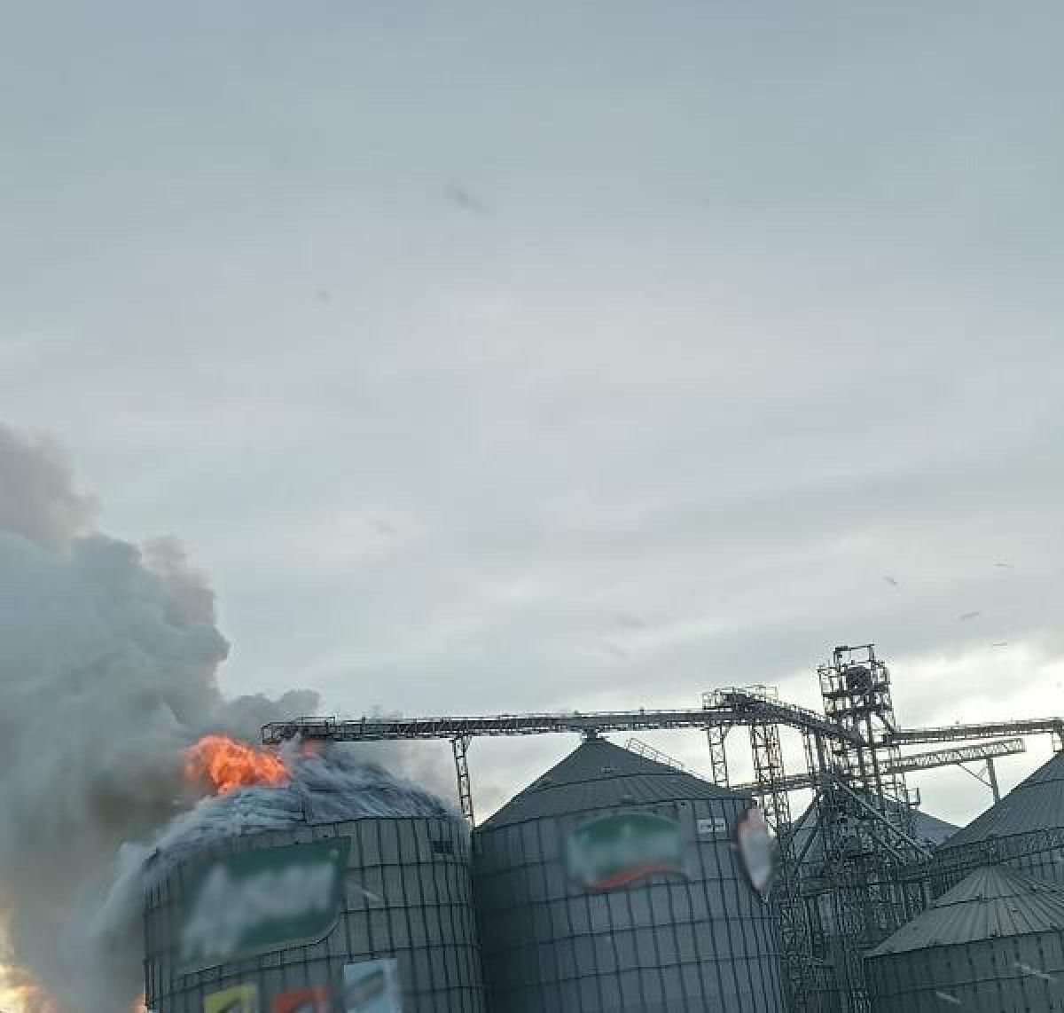 Edirne de yağ fabrikasının silosunda yangın #3