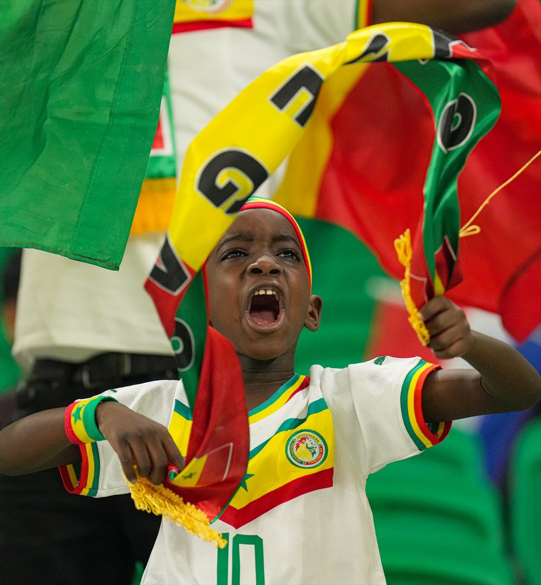 Hollanda - Senegal karşılaşması öncesi tribünler #7