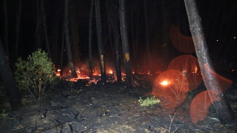 Kocaeli Aldata’da orman yangını