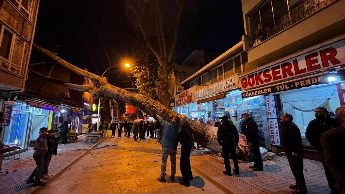 Bursa da 300 yıllık çınar ağacı iş yerinin çatısına devrildi #1