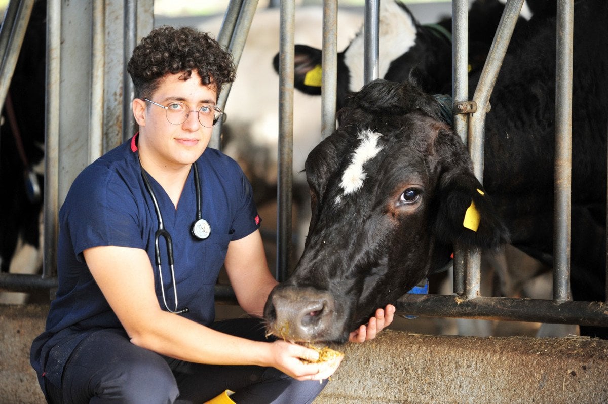 Bursa da, çiftlik hayvanlarının mutluluk ve stresleri sensörle takip ediliyor #3