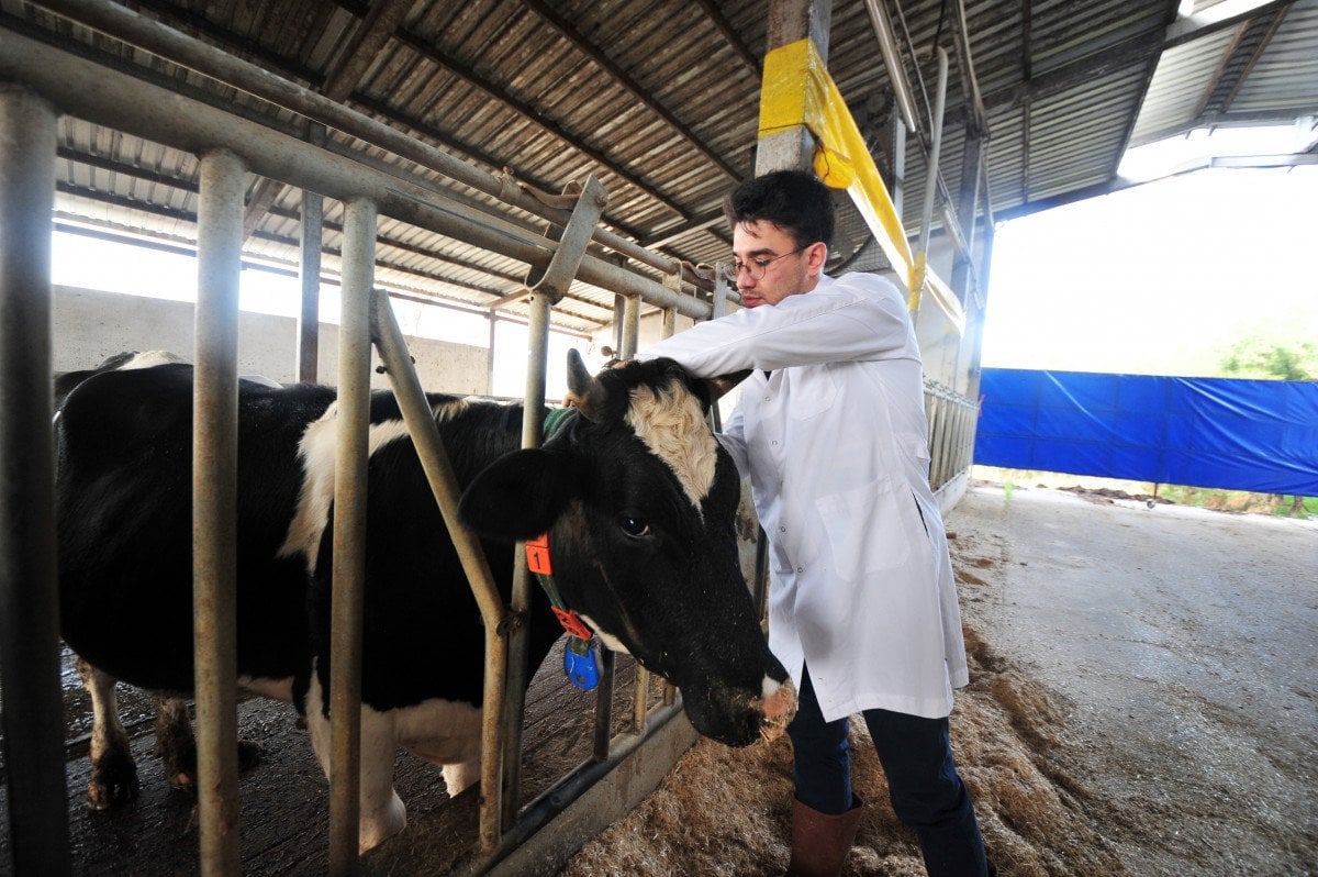 Bursa da, çiftlik hayvanlarının mutluluk ve stresleri sensörle takip ediliyor #7