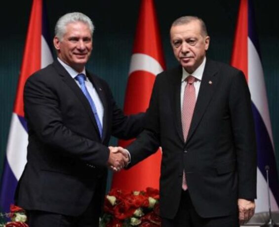 Cumhurbaşkanı Erdoğan, Küba Devlet Başkanı ile görüştü