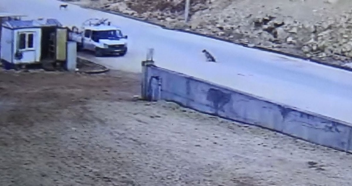 Gaziantep’te köpeğe çarpmamak için manevra yapan minibüs ölüme yol açtı #8