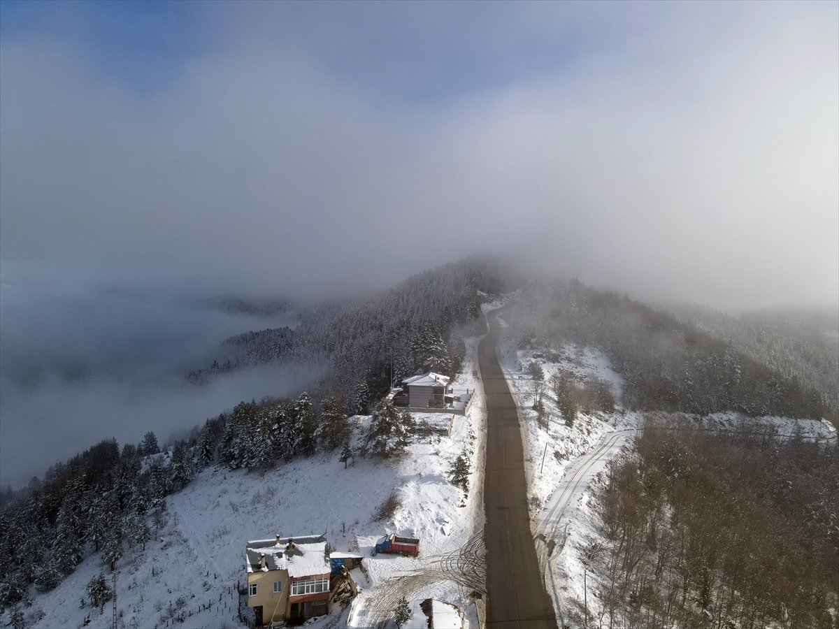 Kar ve sisle kaplanan Küre Dağları ndan kartpostallık manzaralar #2