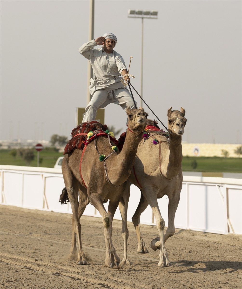 Katar da develer üzerinde hentbol maçı oynandı #1