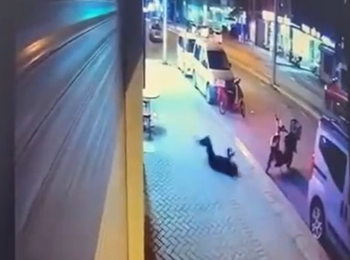 Eskişehir’de pencereden düşüp ölen kadının sevgilisi tutuklandı #2
