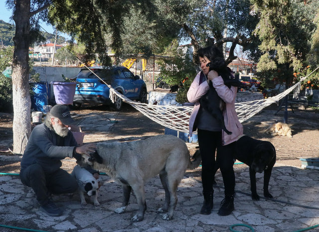 Evlerinin bahçesini sahipsiz köpeklere ve eşek 'Kadife'ye açtılar