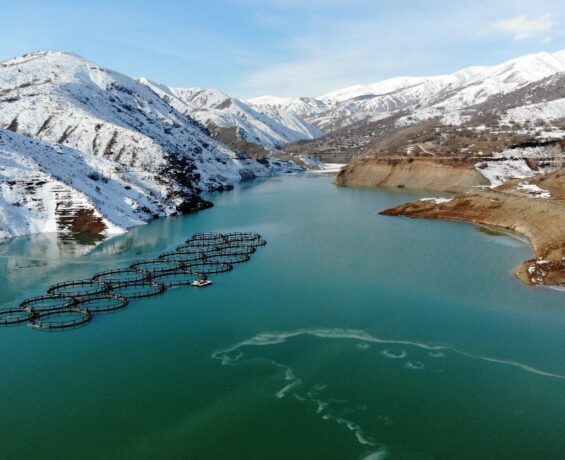 Göyne Sulama Barajı buz yakaladı